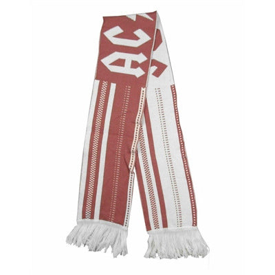 AC/DC Holiday Logo Faded Red Winter Scarf Neck Ties & Scarves Back