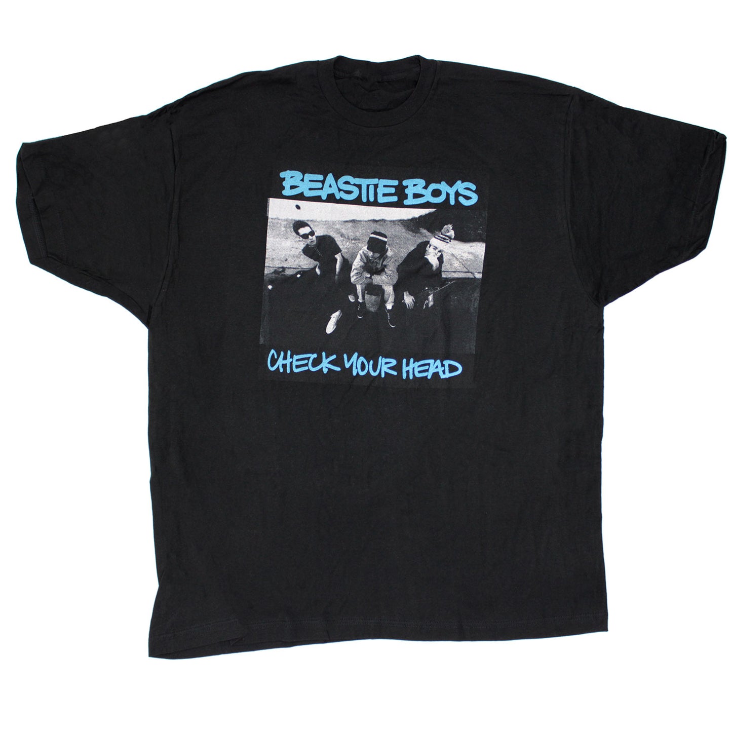 Check Your Head T-shirt