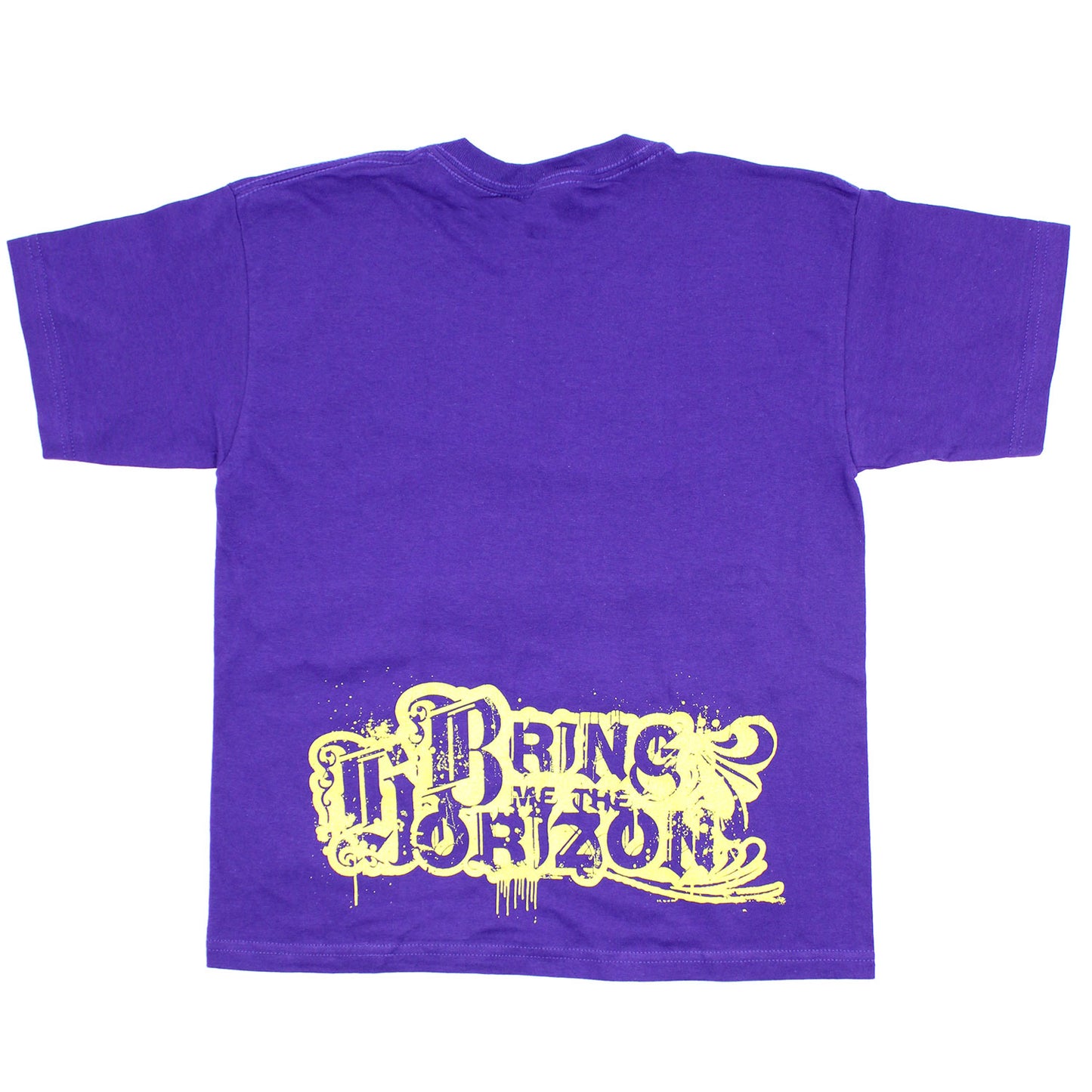 I Partied Naked With Bring Me The Horizon T-shirt