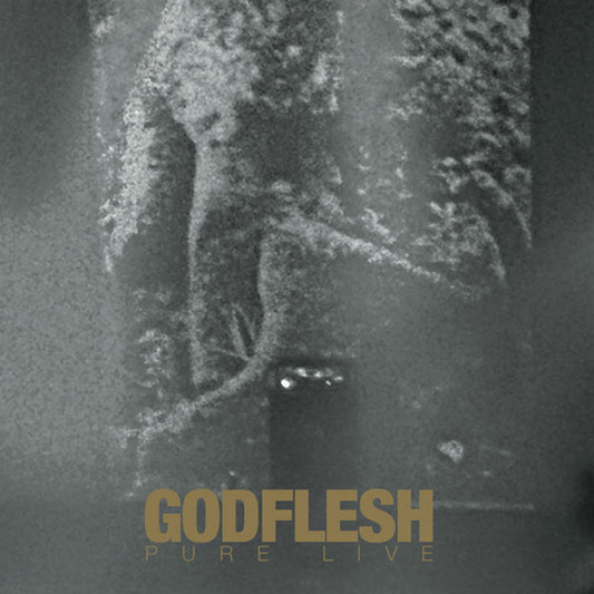 Godflesh Pure: Live (gold W/ Gold And White Splatter Vinyl) Vinyl Double Album Vinyl Front