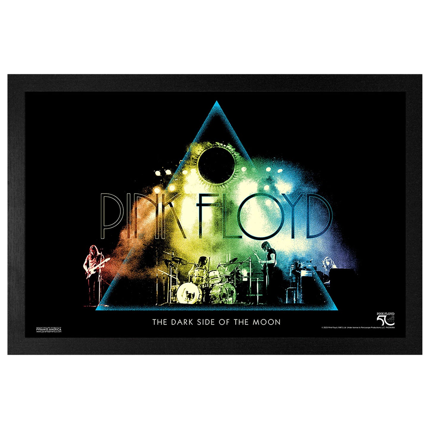 DSOTM50-Live Colors Framed Wall Art