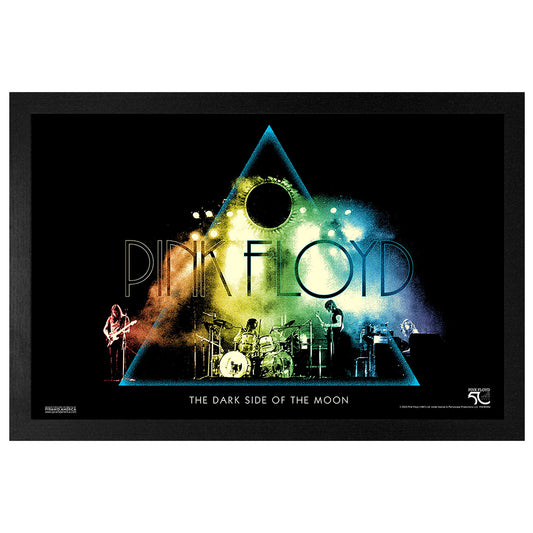 DSOTM50-Live Colors Framed Wall Art