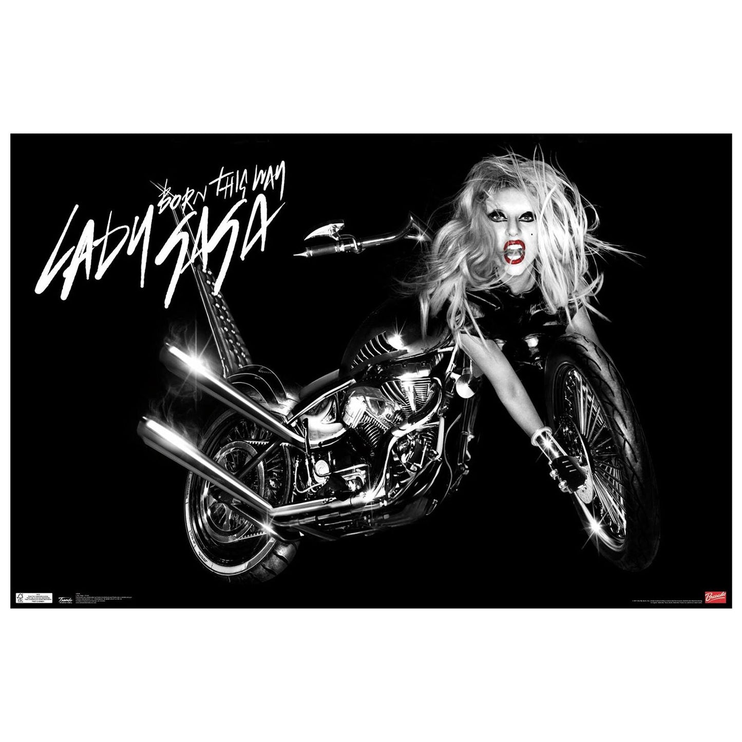 Lady Gaga Cover Domestic Poster