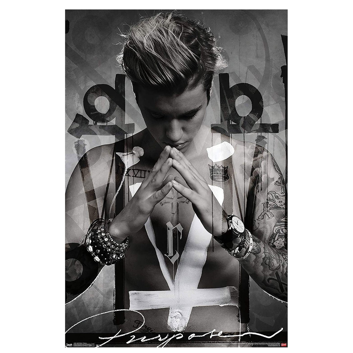 Justin Bieber Purpose Domestic Poster