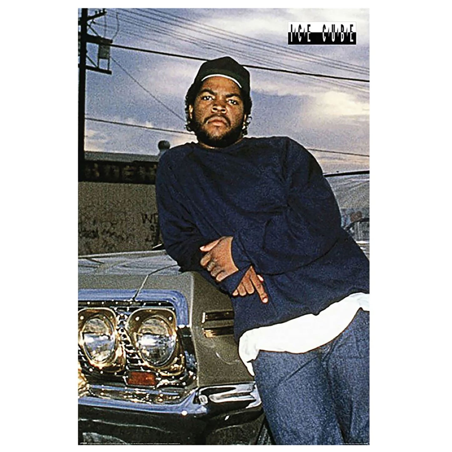 Impala Domestic Poster