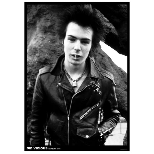 Sex Pistols Sid Vicious Hamburg Import Poster