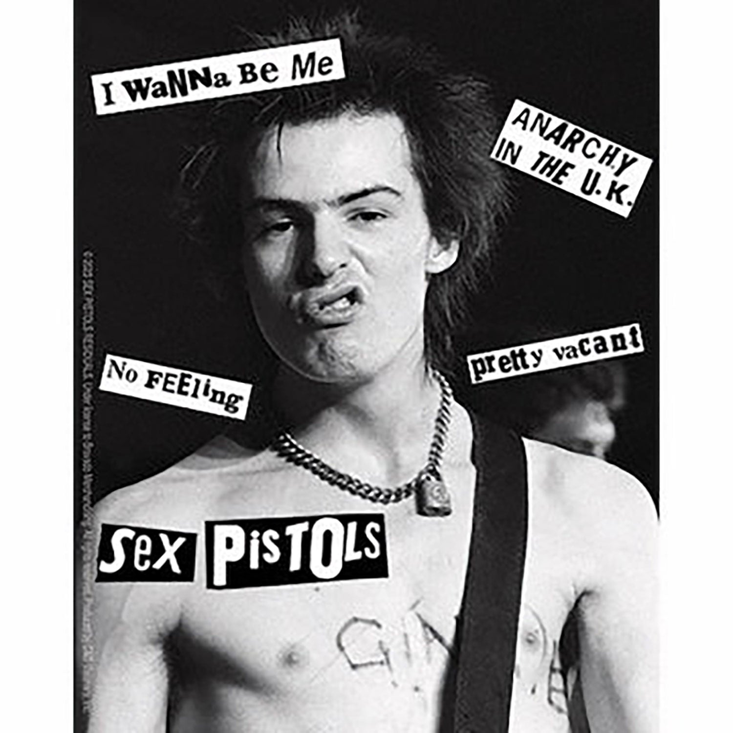 Sid Vicious Sticker