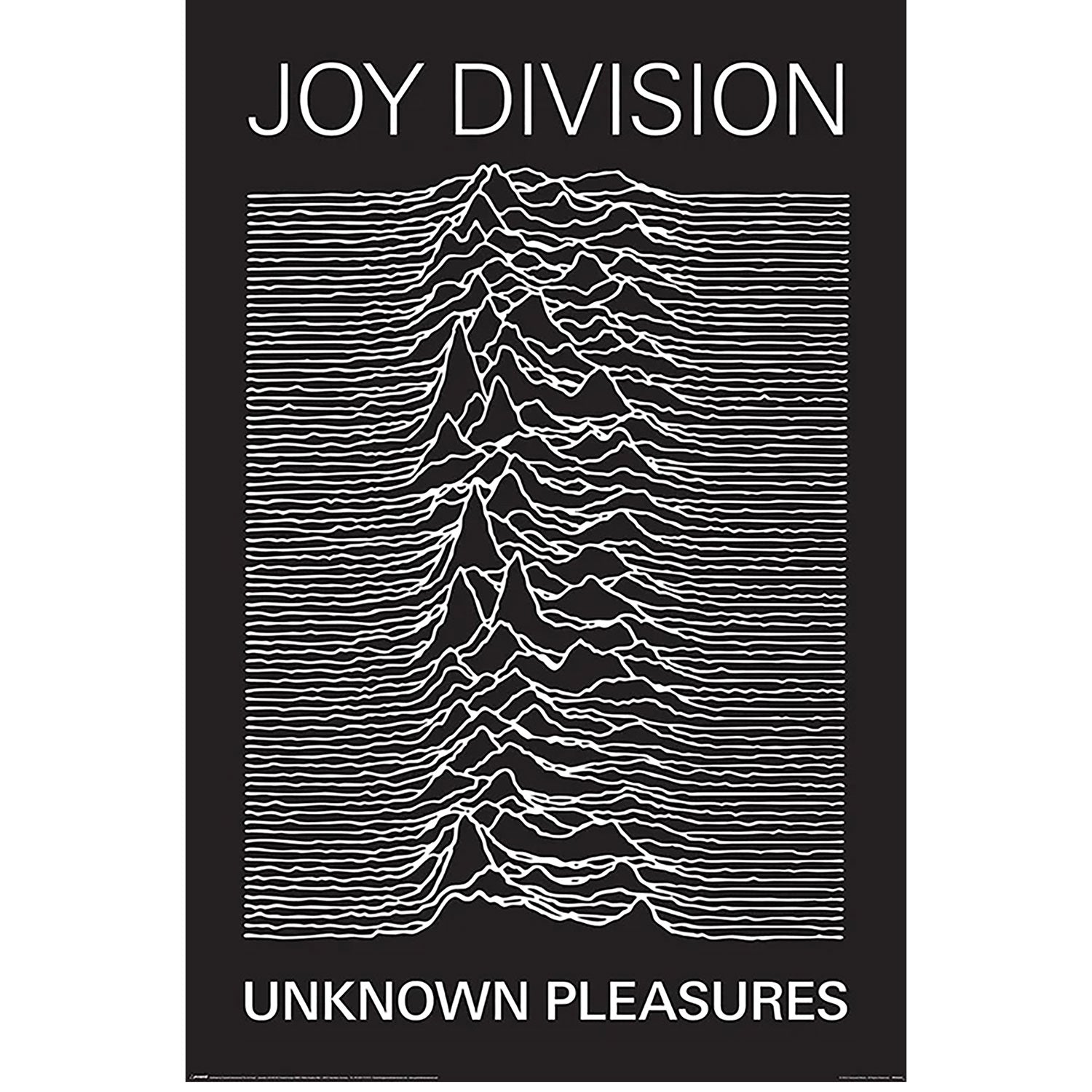 Unknown Pleasures Domestic Poster