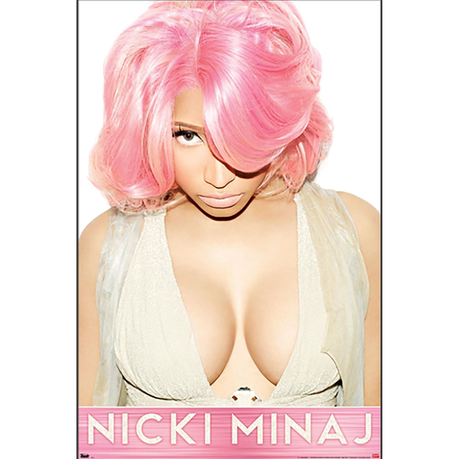 Pink Domestic Poster