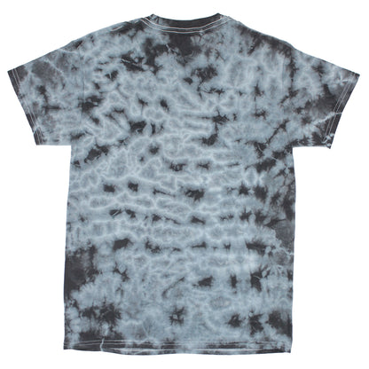 Nobody Sings Dylan Like Dylan Tie Dye T-shirt