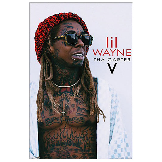Carter V Domestic Poster