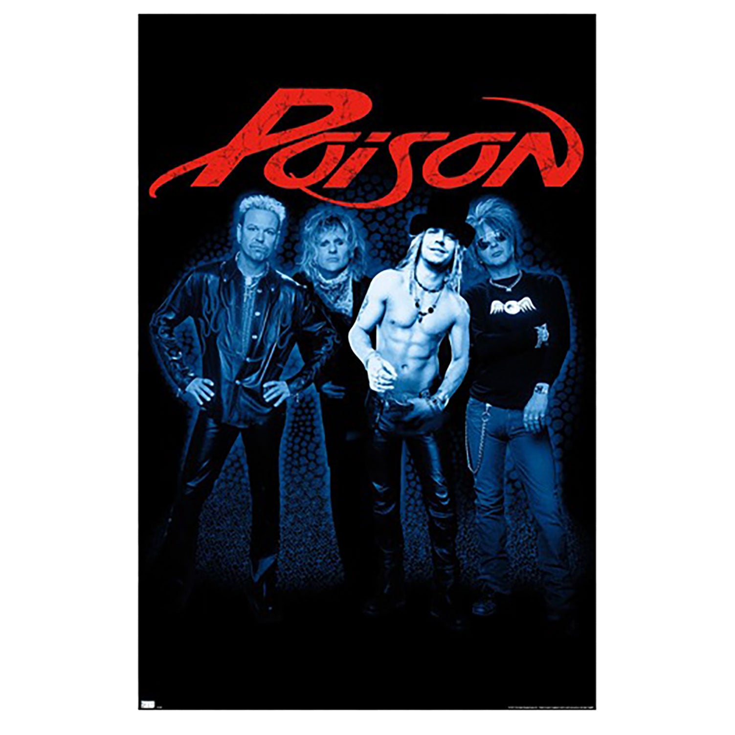 Poison Group Domestic Poster