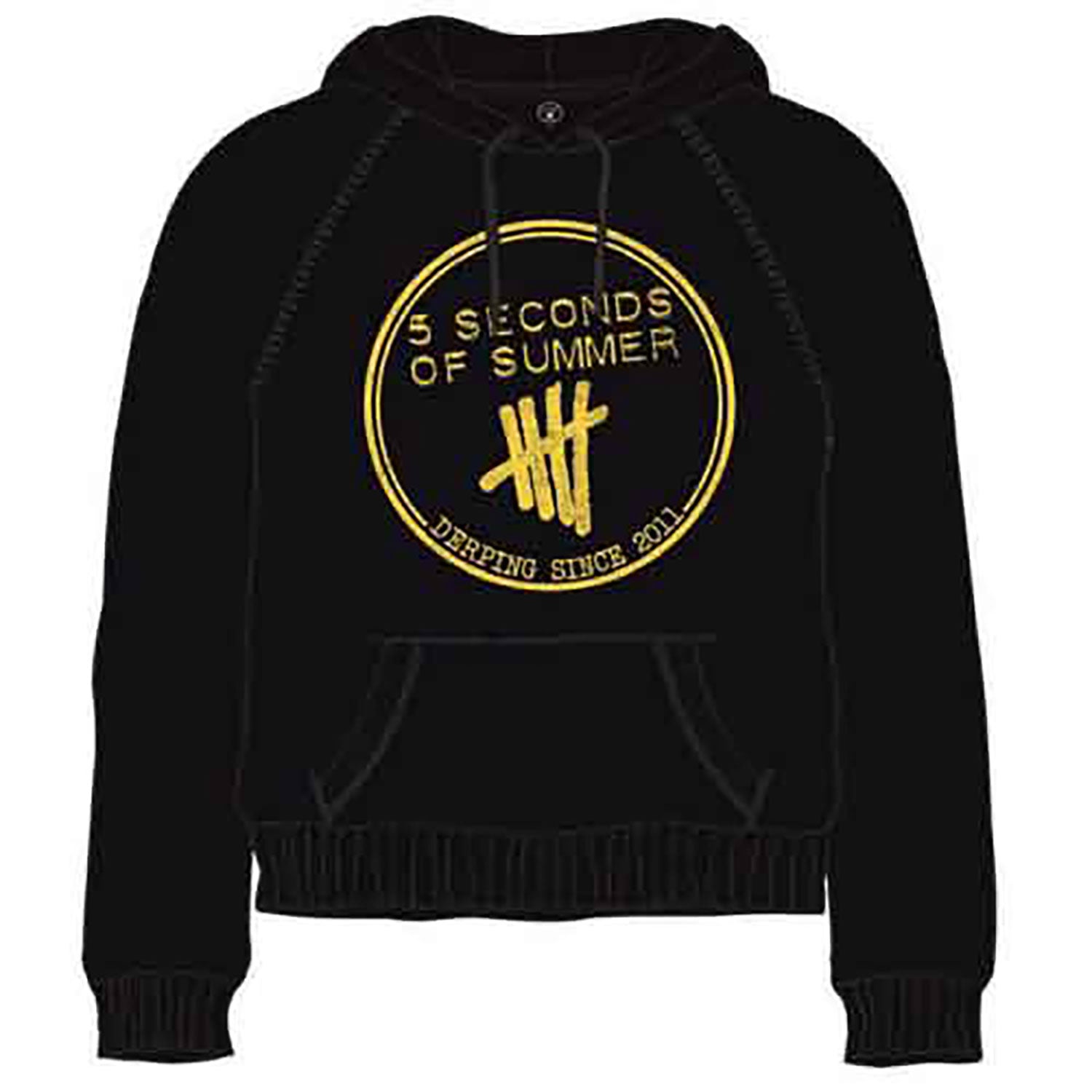 5 Seconds Of Summer Derping Stamp Hooded Sweatshirt