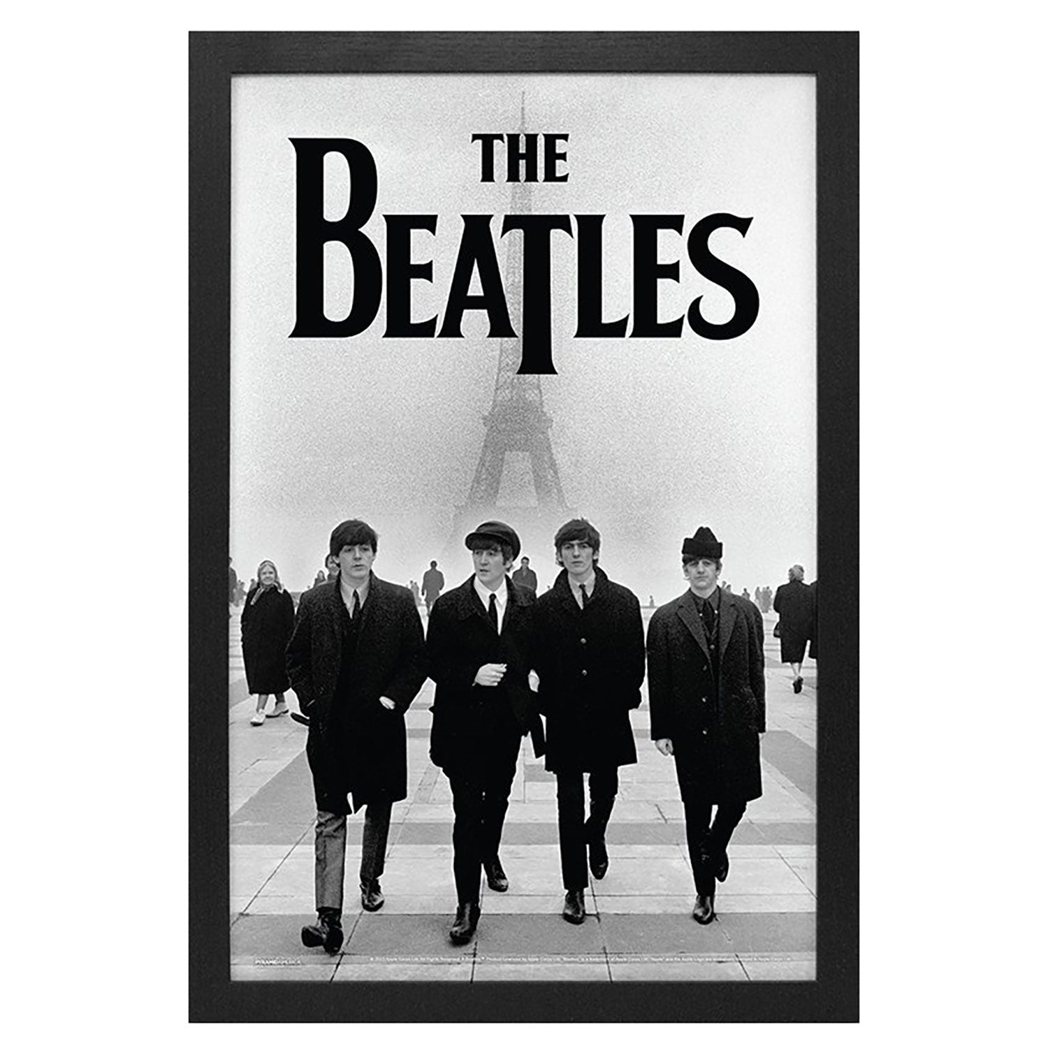 Eiffel Tower Framed Wall Art