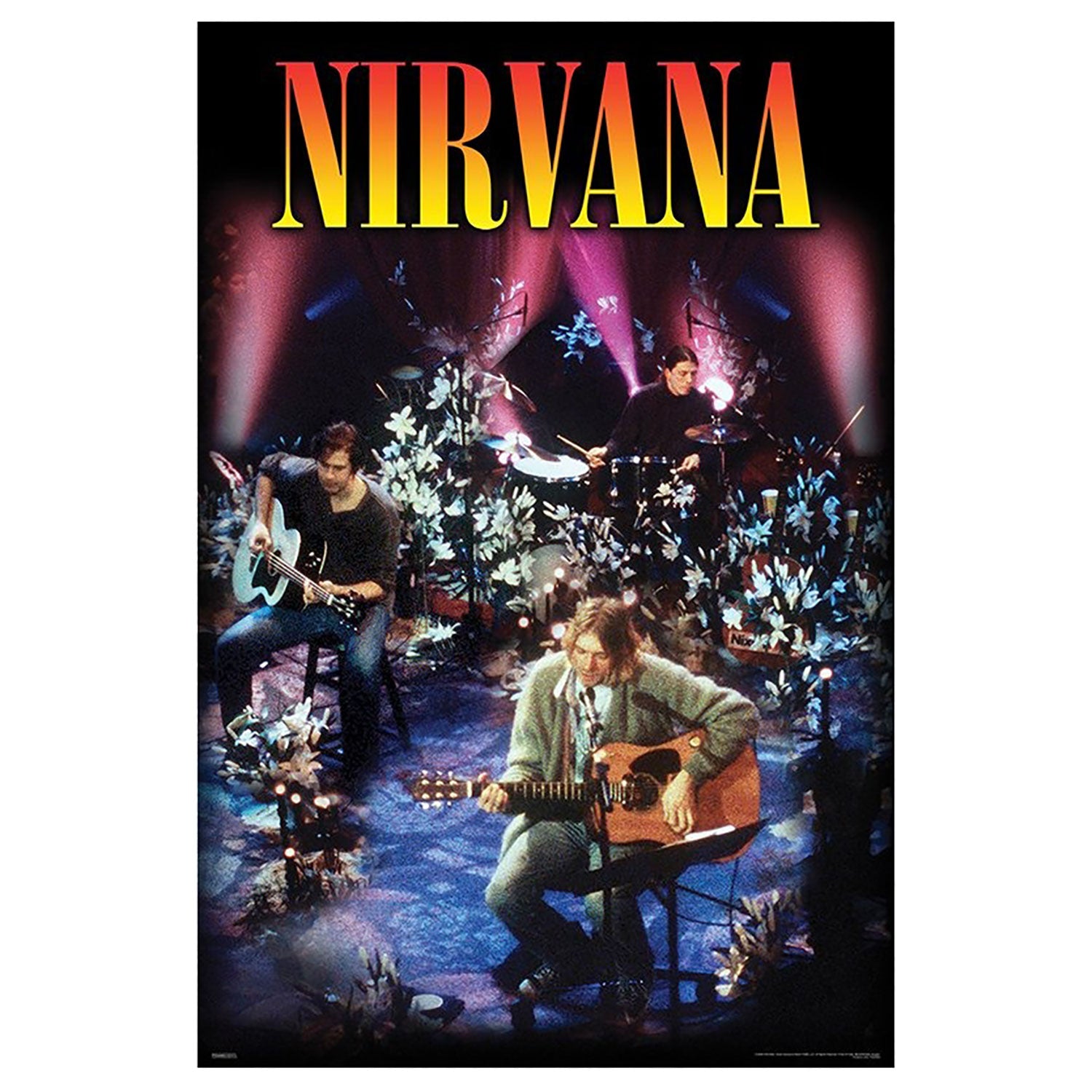 Unplugged Domestic Poster