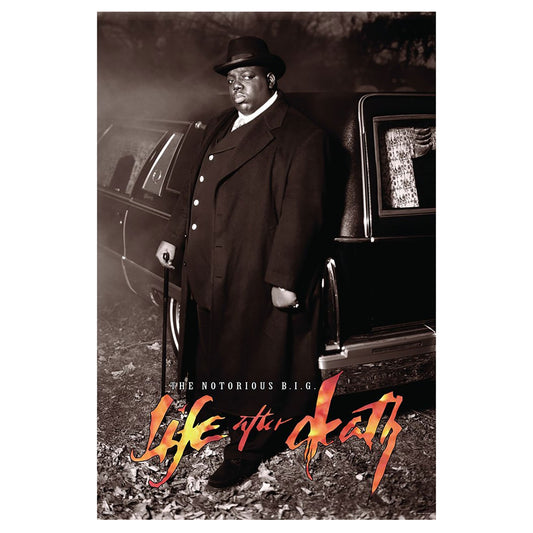 Life After Death Domestic Poster