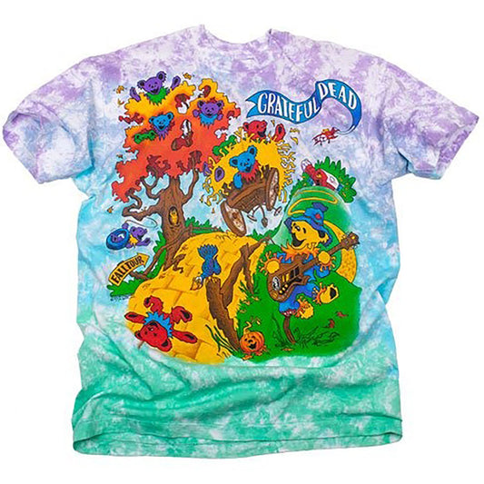 Grateful Dead Hayride 93 Rise & Fall Tour Tie Dye T-shirt Front