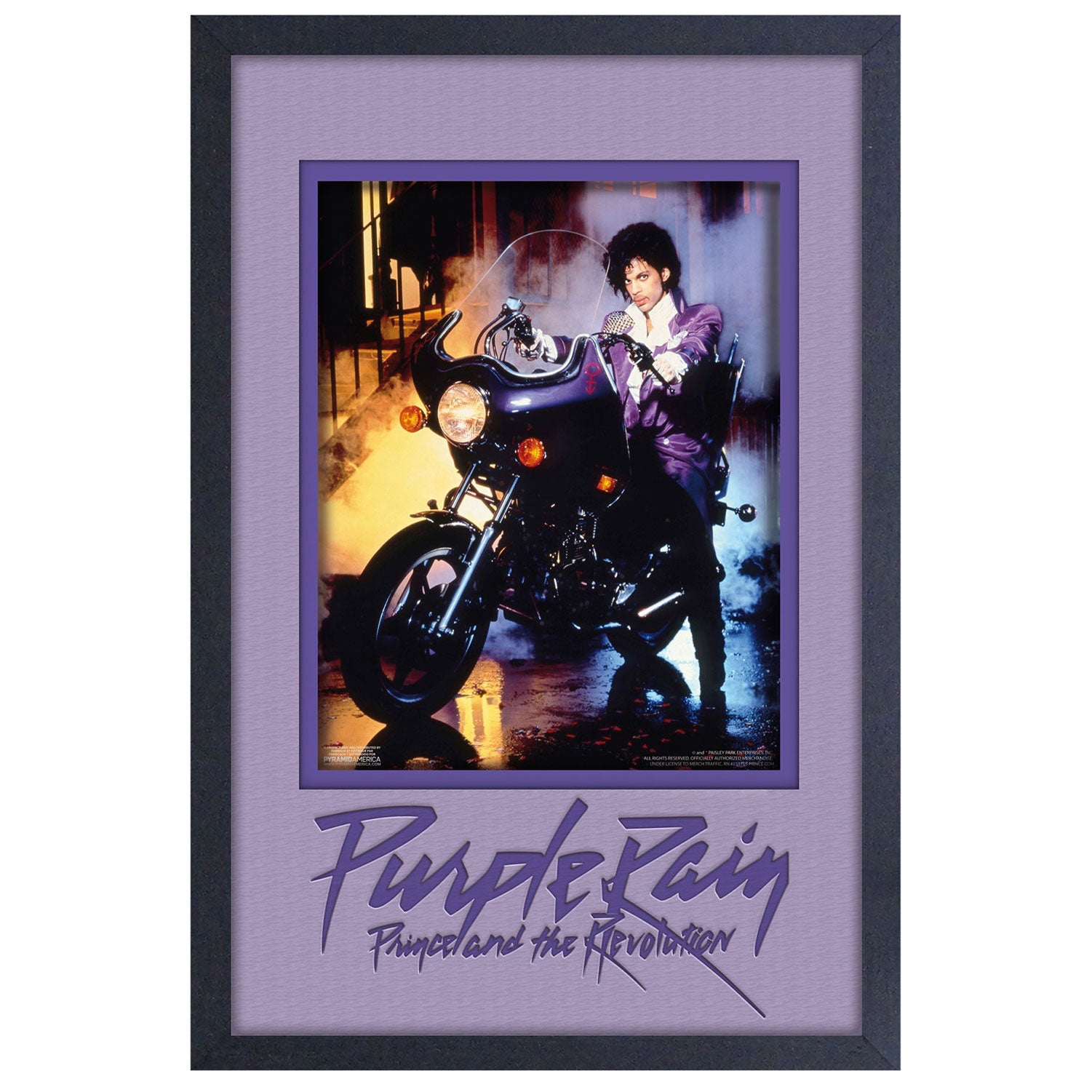Purple Rain Framed Wall Art