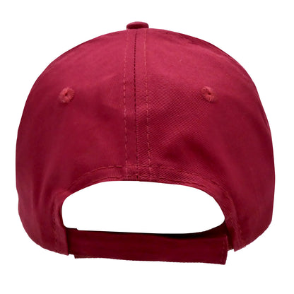 Discipline Baseball Cap