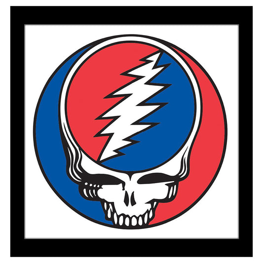 Skull Framed Wall Art