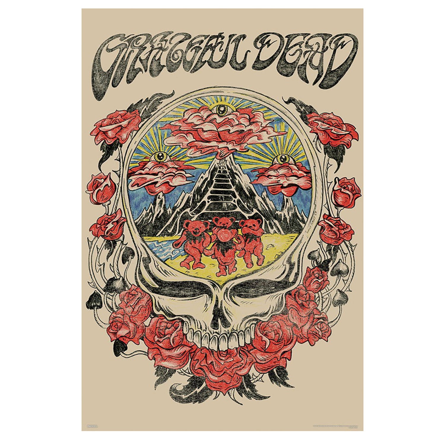 Skull Vision Domestic Poster