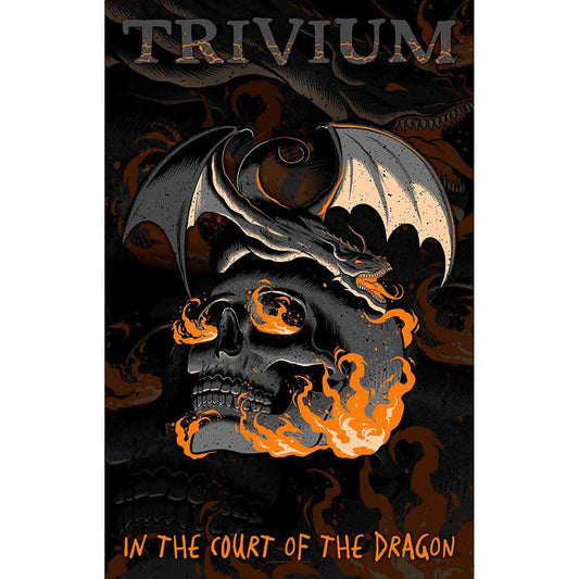 In The Court Of The Dragon Poster Flag