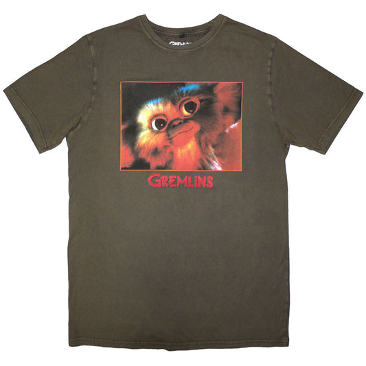 Gizmo Photo Stone Wash T-shirt