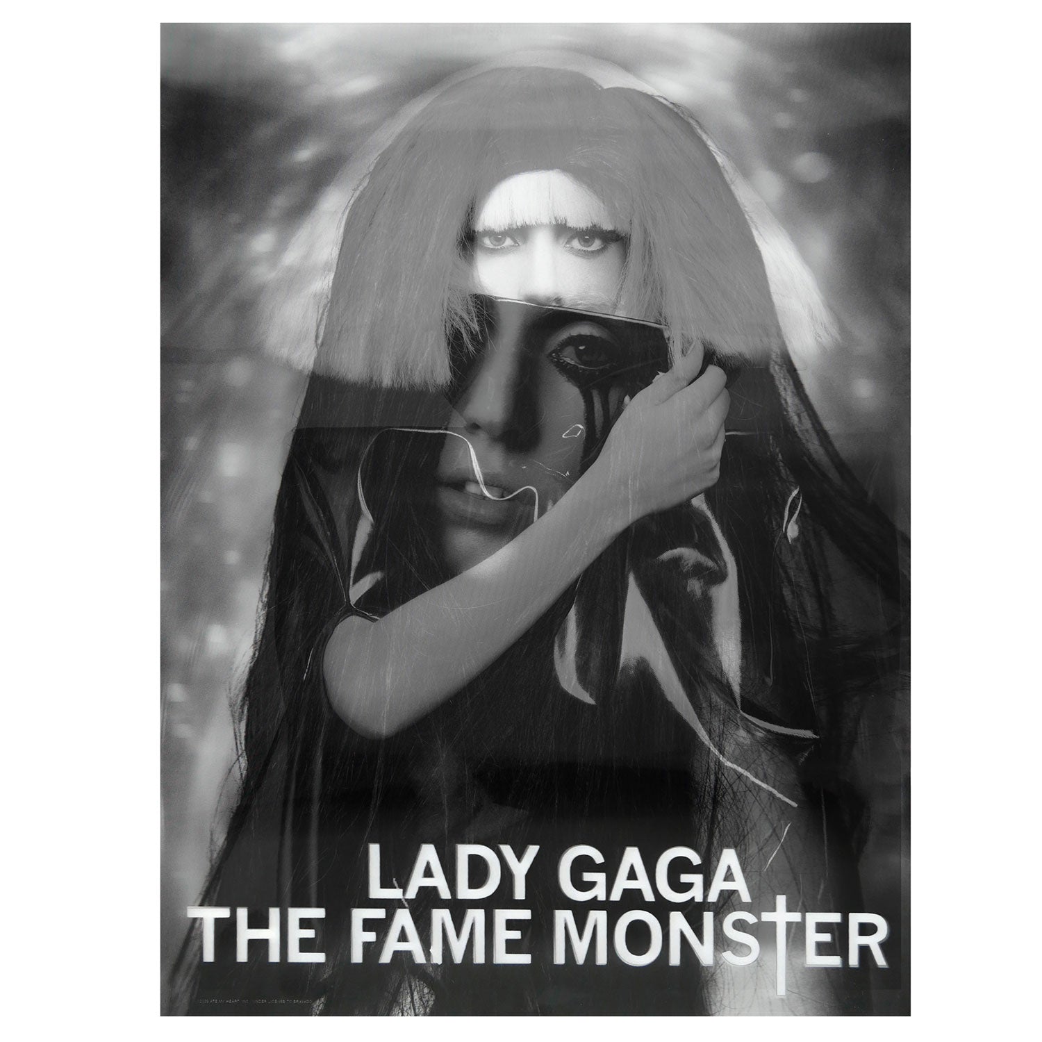 Official Lady Gaga THE FAME MONSTER Flip Image Concert Promo