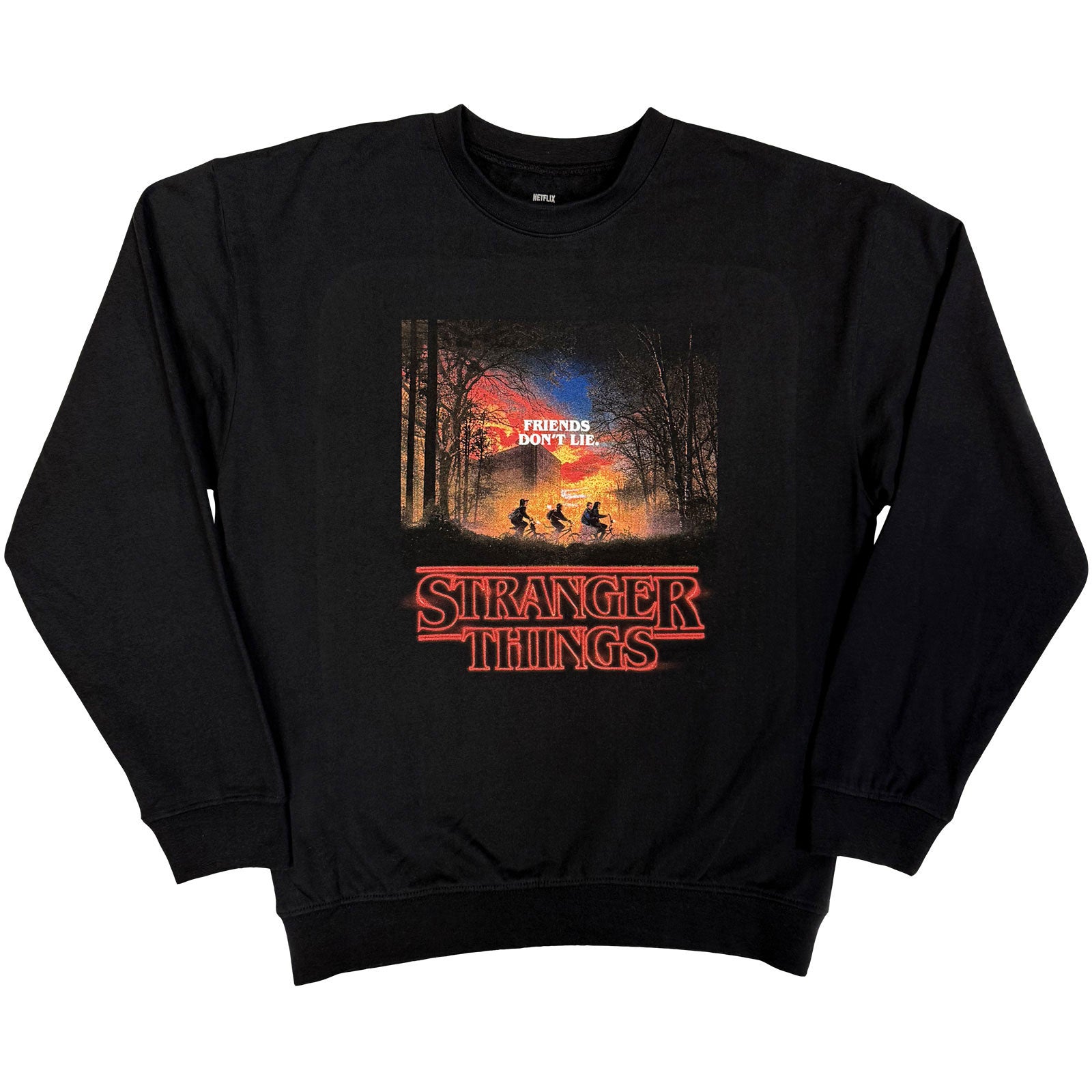 Friends Don't Lie Sweatshirt