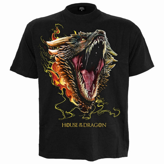 House Of The Dragon Hod2 Drogon T-shirt Front