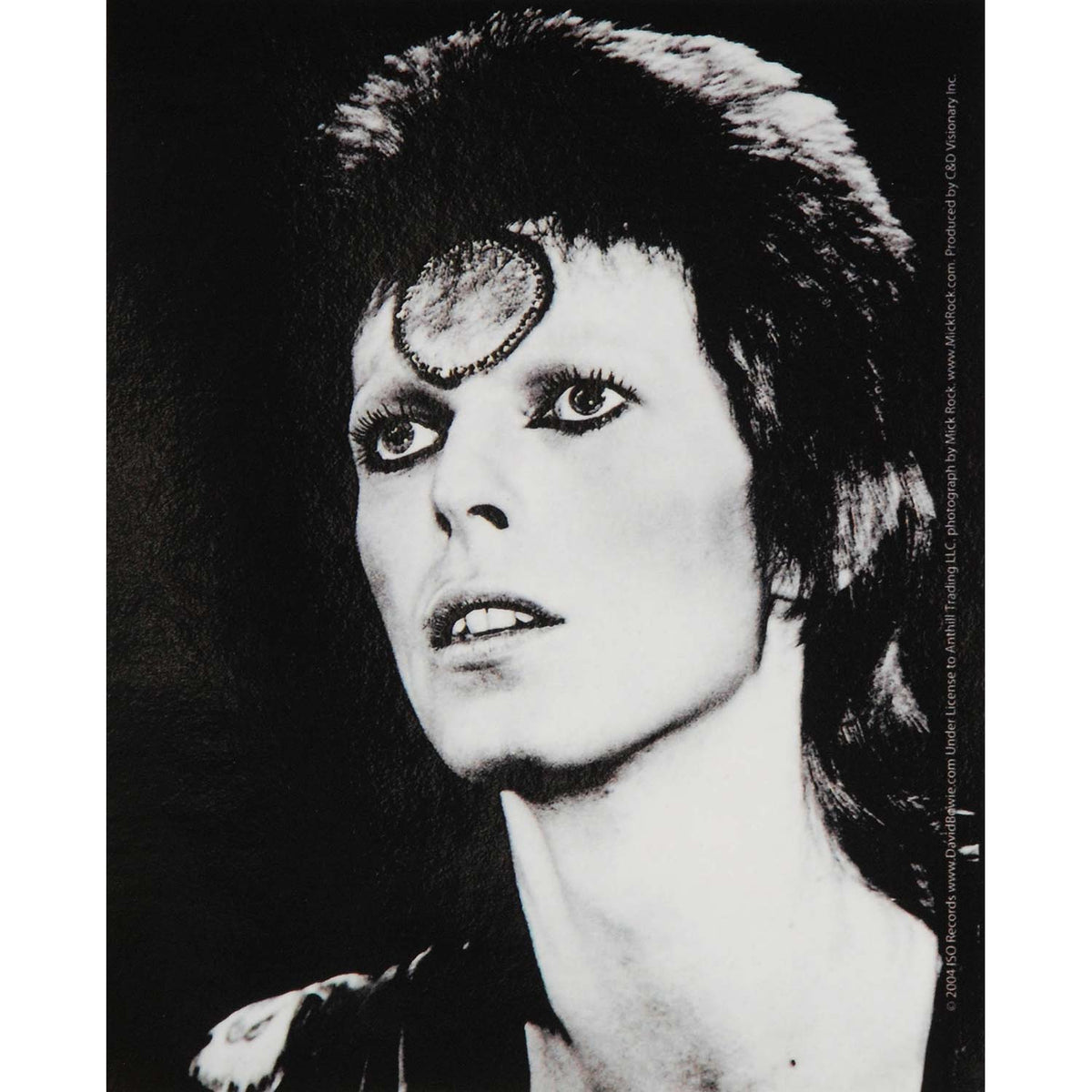 David Bowie Black & White Sticker Front