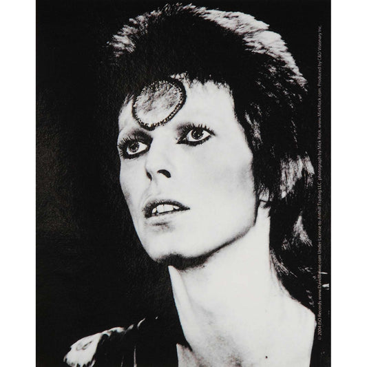 David Bowie Black & White Sticker Front