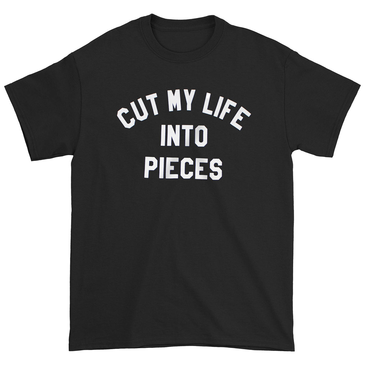 Papa Roach Cut My Life Standard Issue Tee T-shirt Front