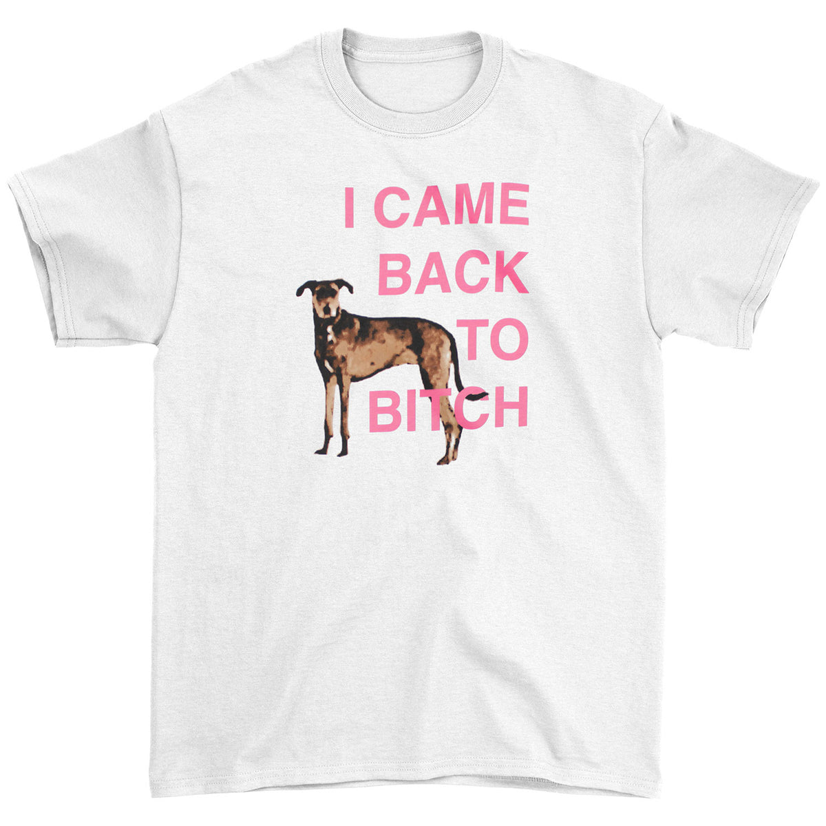 L7 I Came Back To Bitch North American Tour 2018 T-shirt Front