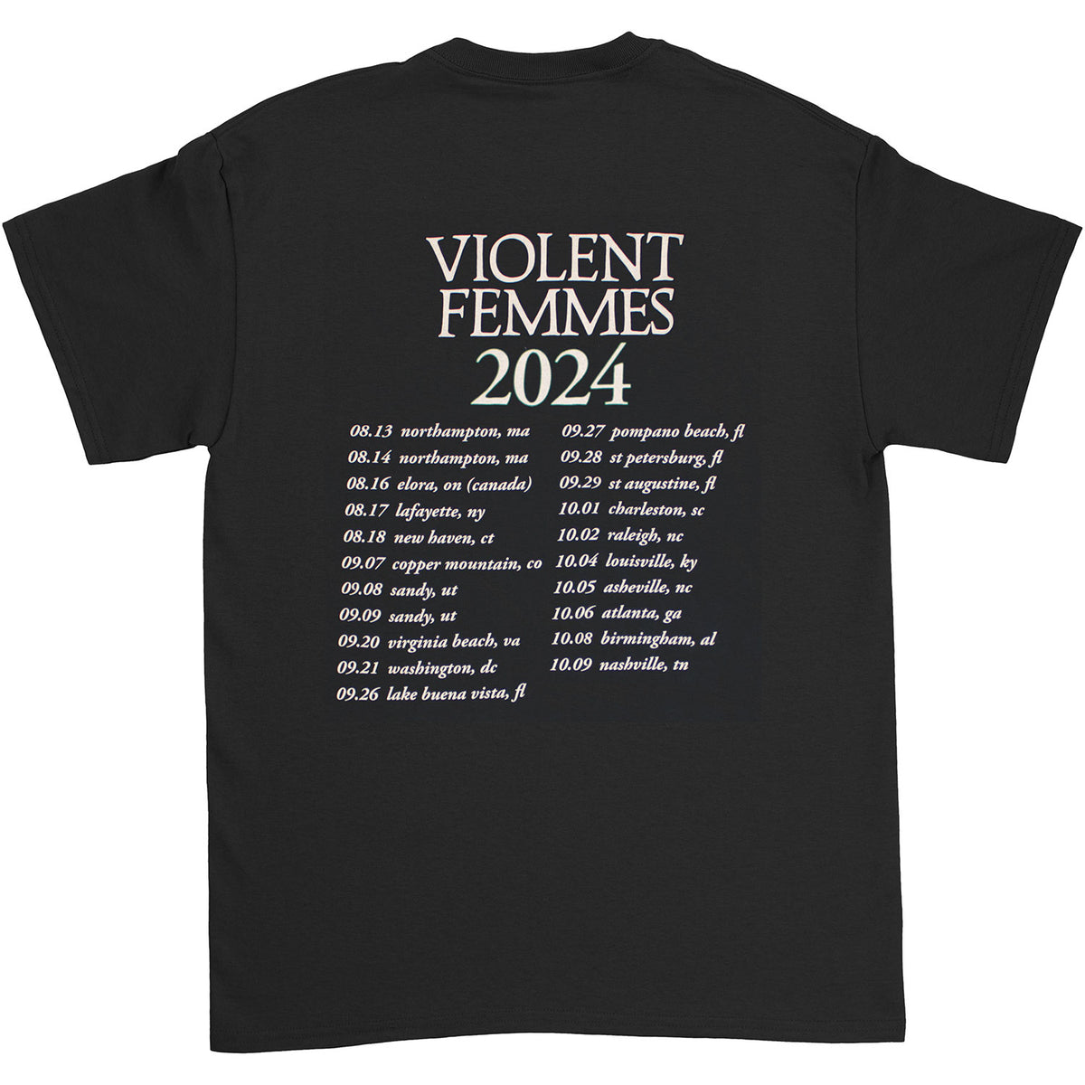 Violent Femmes hallowed ground 2024 T-shirt Back