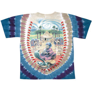 Grateful Dead Carpet Ride Tie Dye T-shirt Back