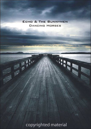 Echo & The Bunnymen DVD