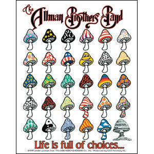 Allman Brothers Sticker Front