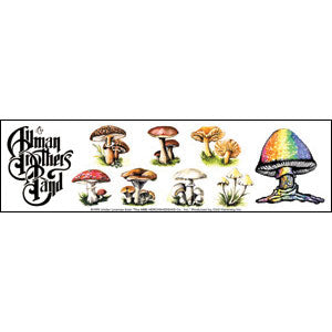 Allman Brothers Sticker Front