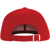 GD 65-95 Baseball Cap