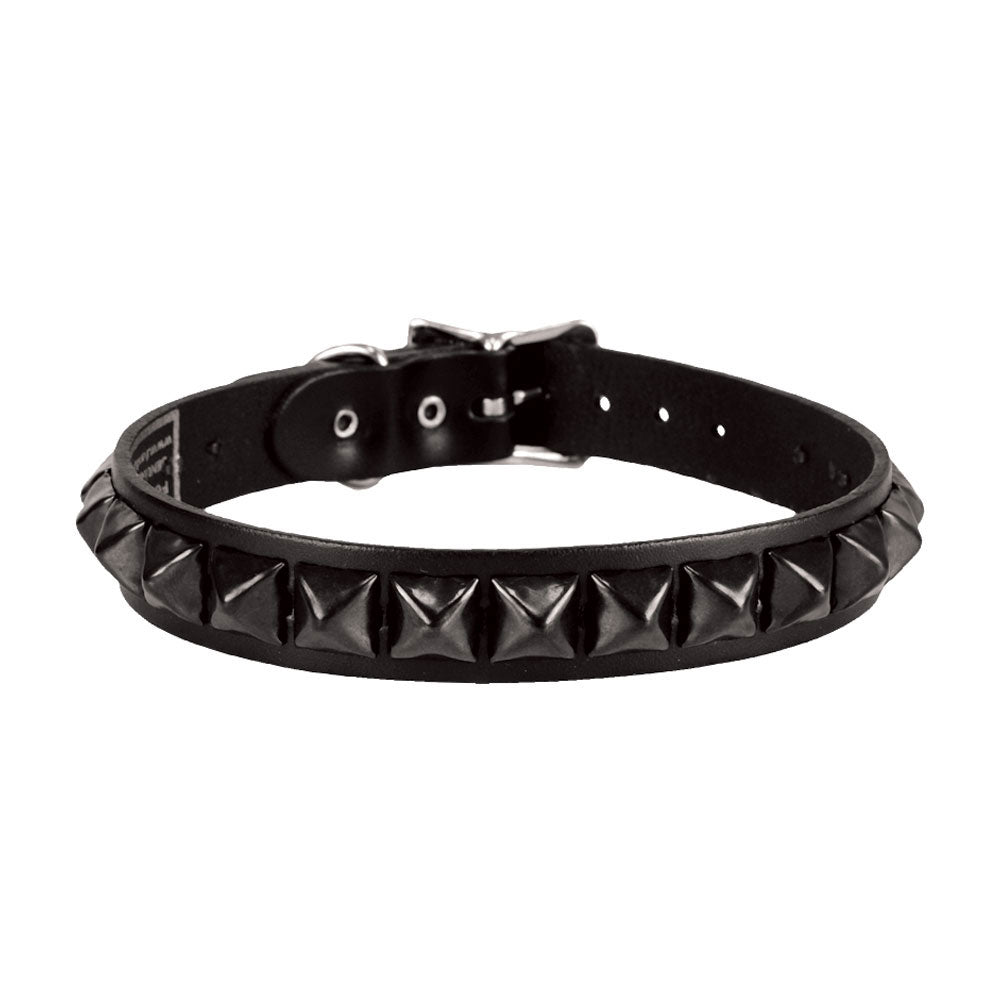 Leather Choker Choker