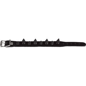 Wristband Wristband
