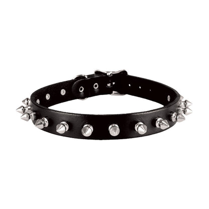 Leather Choker Choker