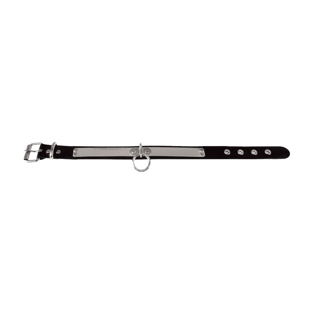 Leather Choker Choker