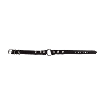 Leather Choker Choker