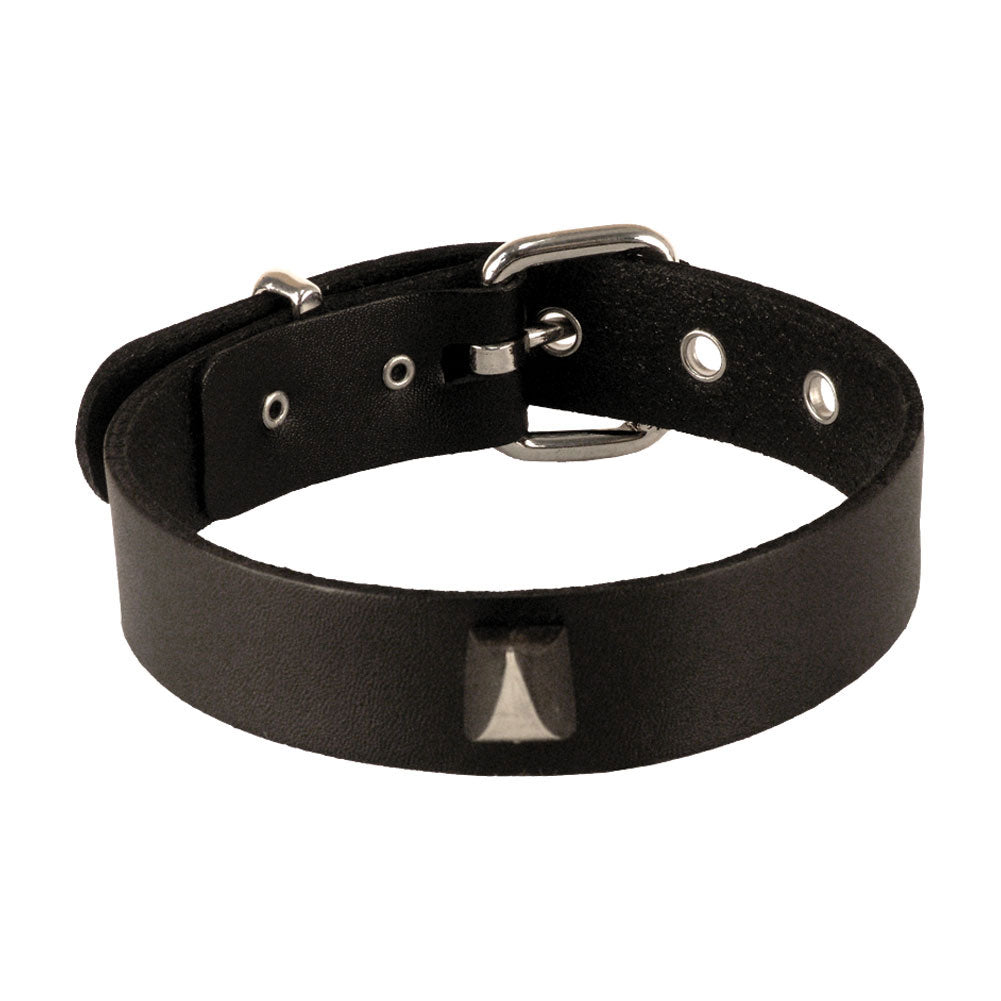 Leather Choker Choker