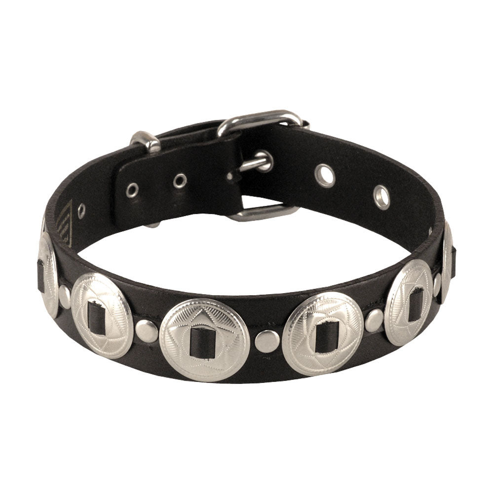 Leather Choker Choker