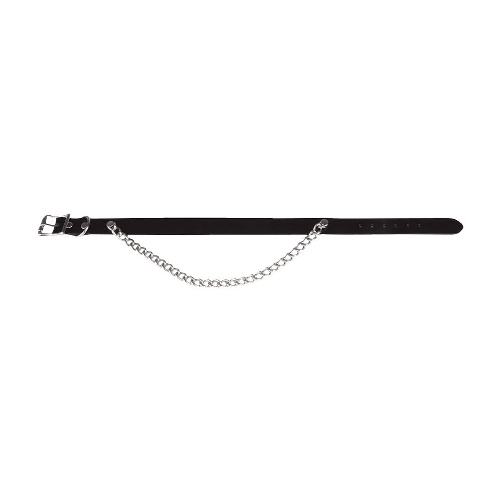 Leather Choker Choker