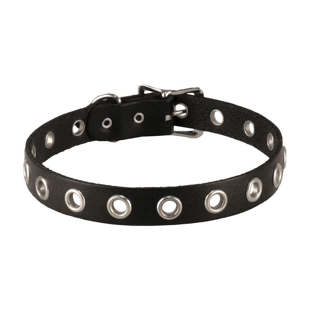 Leather Choker Choker