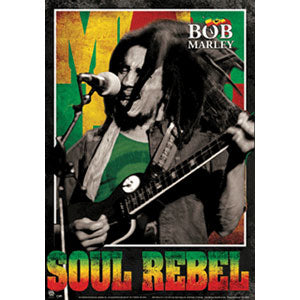 Bob Marley 3D Poster Front